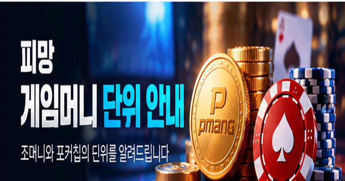 조머니와 포커칩 단위 안내 안내 이미지